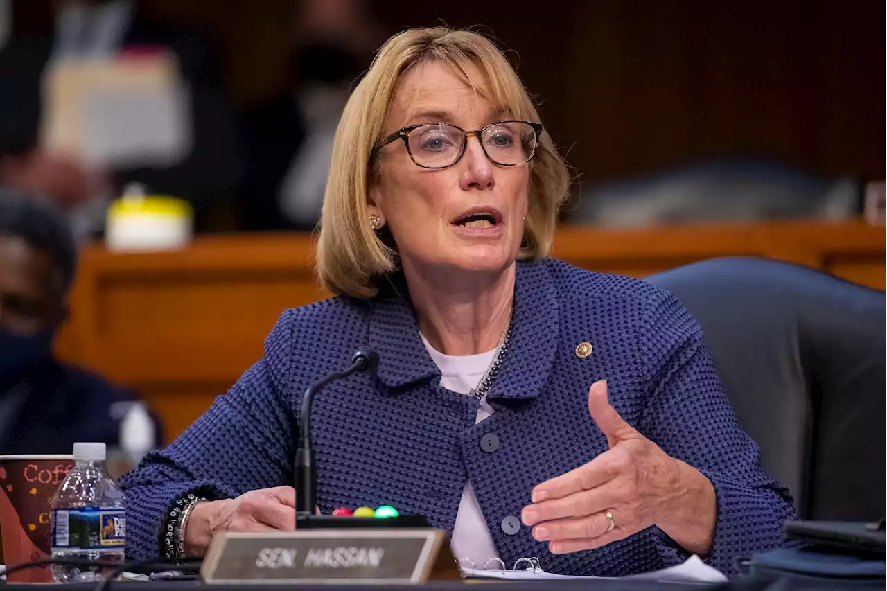 'Anything could happen': Dems make their pitches for the first primary of 2024