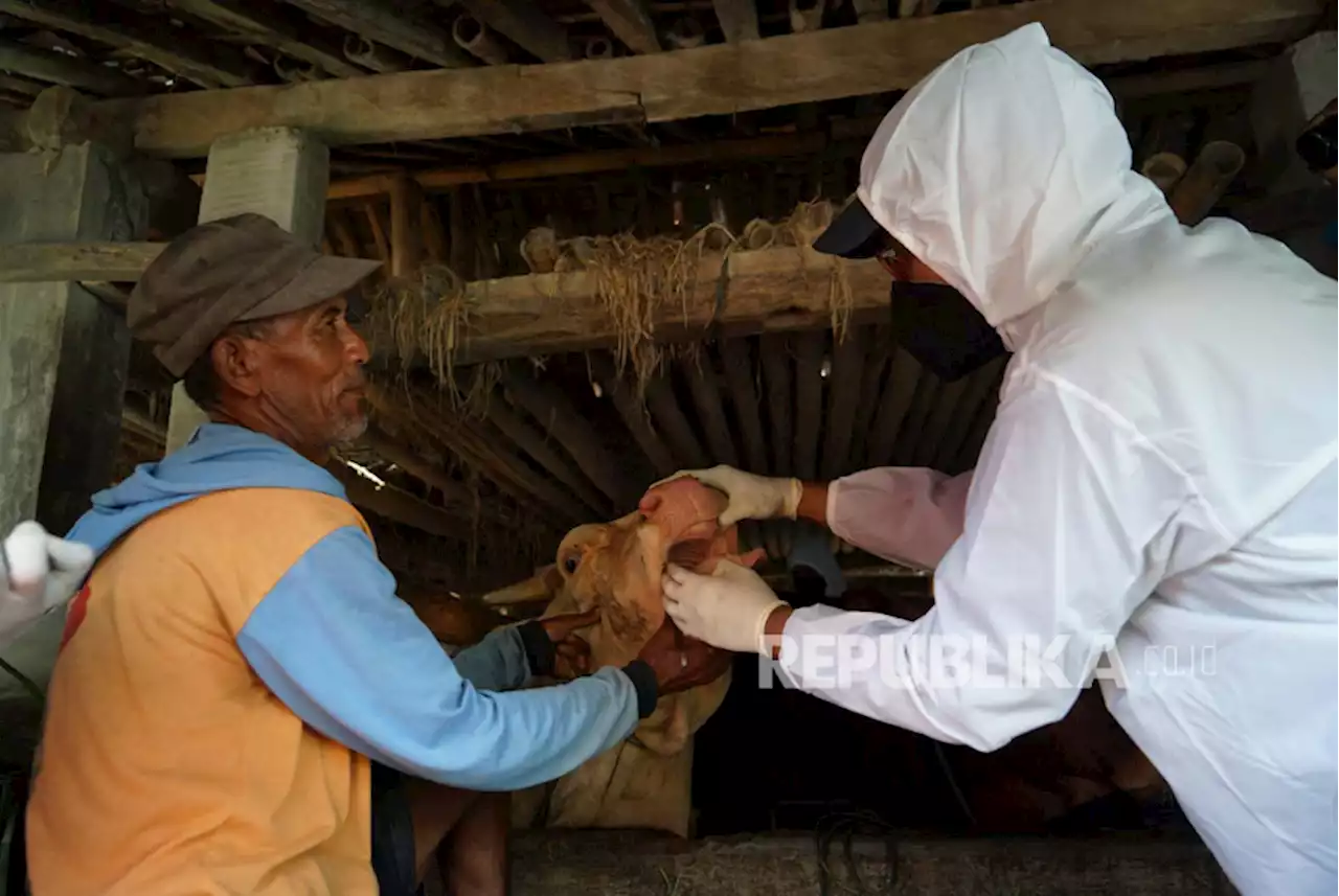 Pemprov Kepri Ajukan Permintaan 29 Ribu Dosis Vaksin PMK |Republika Online