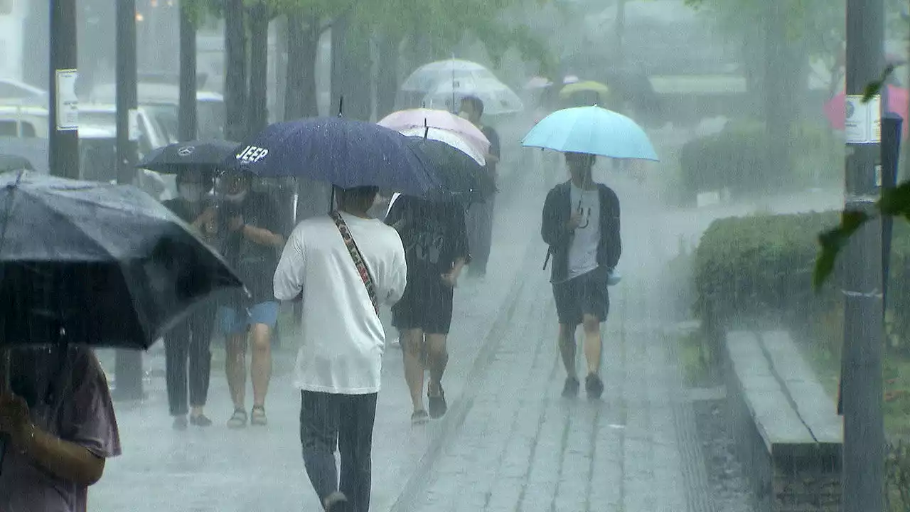 중부 폭우 쏟은 장마전선 남하…제주 · 남해안 호우특보