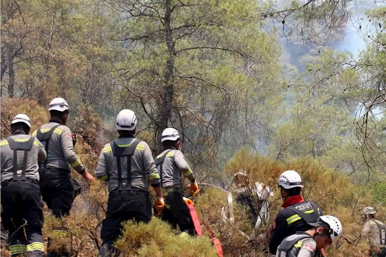Raging wildfire in southwest Turkey spreads to forested area