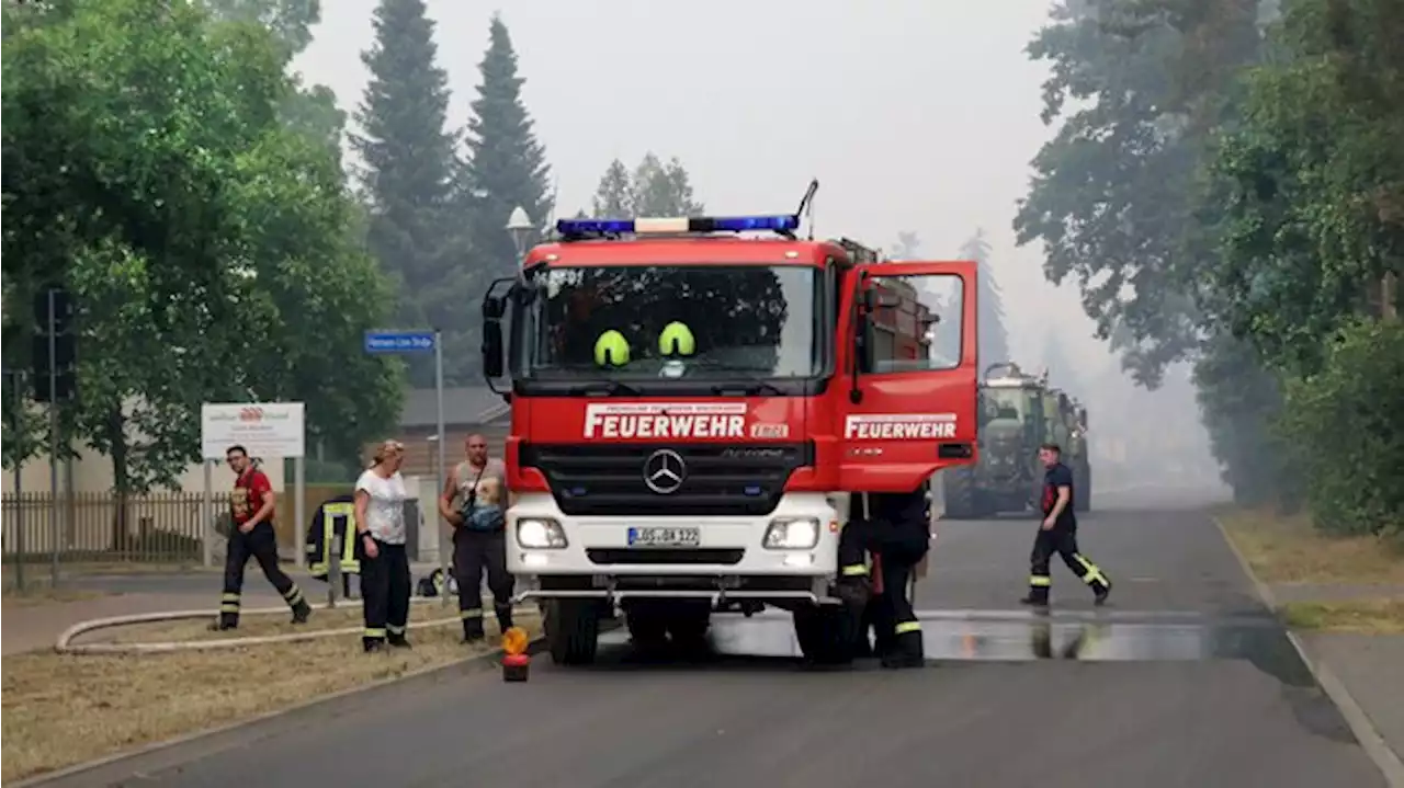 Waldbrand in Rheinsberg unter Kontrolle – Glutnester bei Beelitz