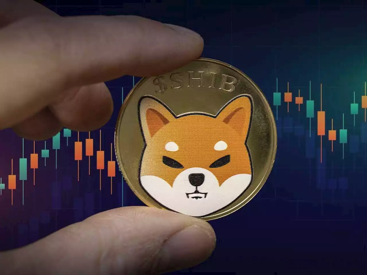 SHIB Reaches New Community Milestone: Report