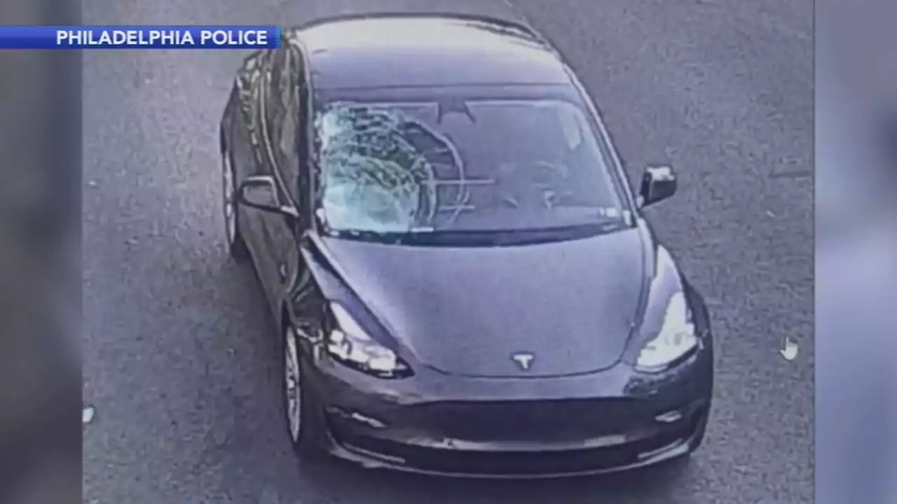 Tesla driver turns self in to police following fatal hit-and-run in Germantown