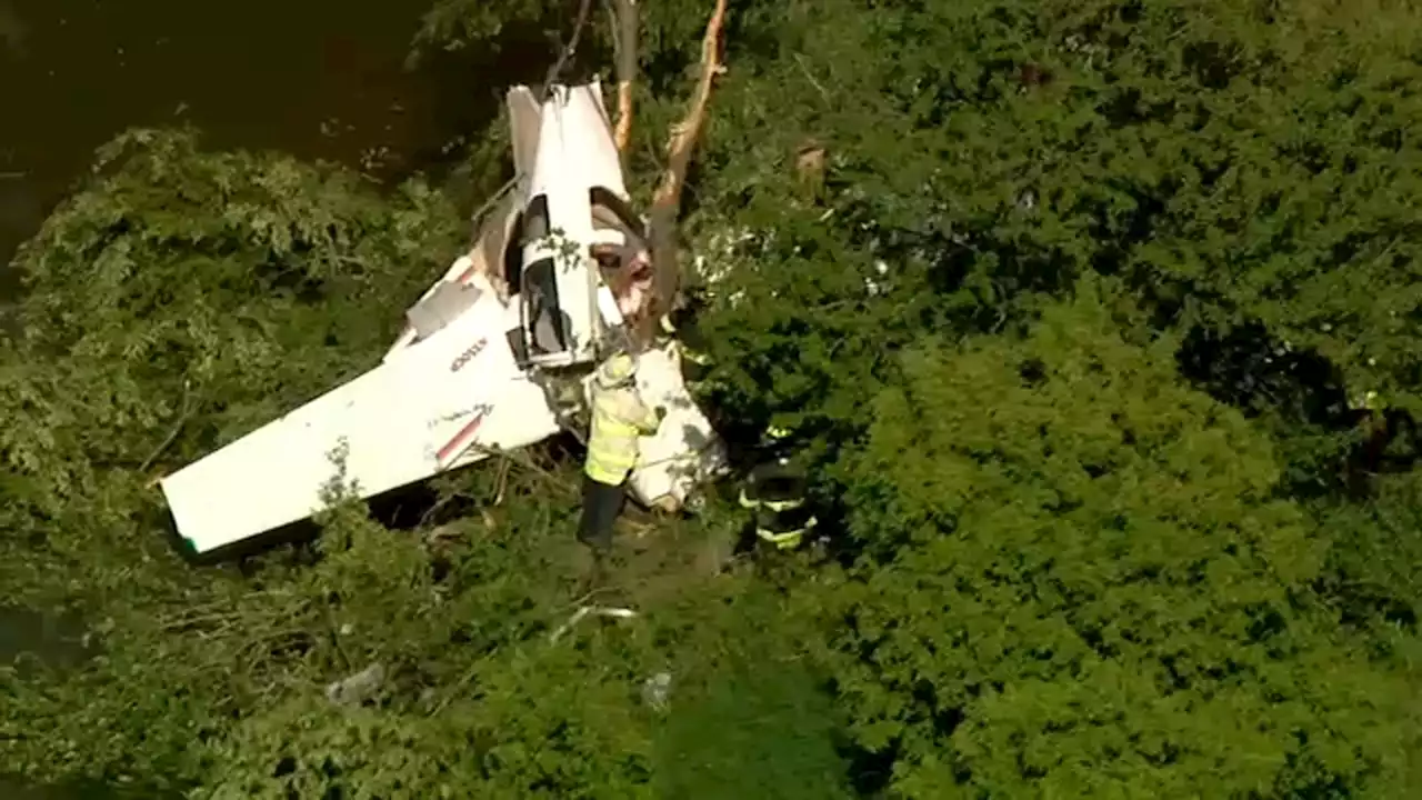 Monee plane crash: Pilot in critical condition after small plane crashes into tree, officials say