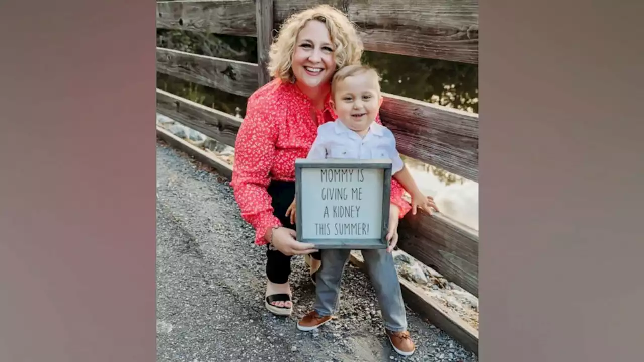 Mom opens up about getting ready to donate kidney to 2-year-old son