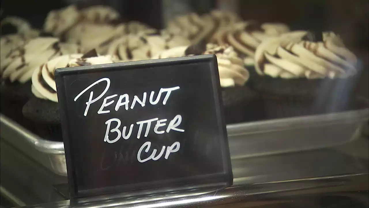 Papa's Cupcakes is a dream job for father, husband and son baking trio