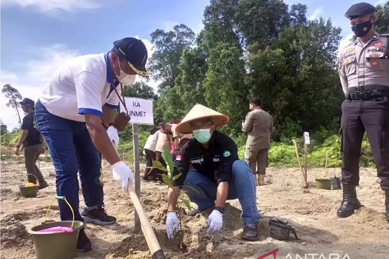 PT Timah - Forkopimda Bangka Barat tanam ribuan pohon di bekas tambang