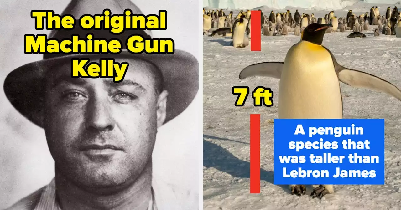 19 Facts I Learned This Week That Truly Blew My Mind