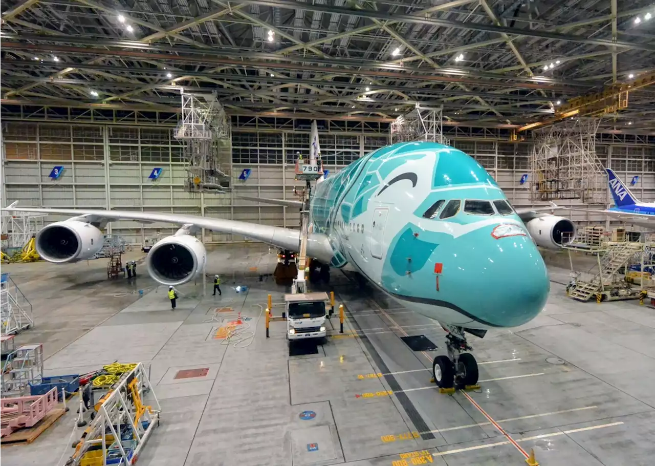 ピカピカになってハワイへ！ANA 超大型機A380の洗浄に密着レポート | FlyTeam ニュース