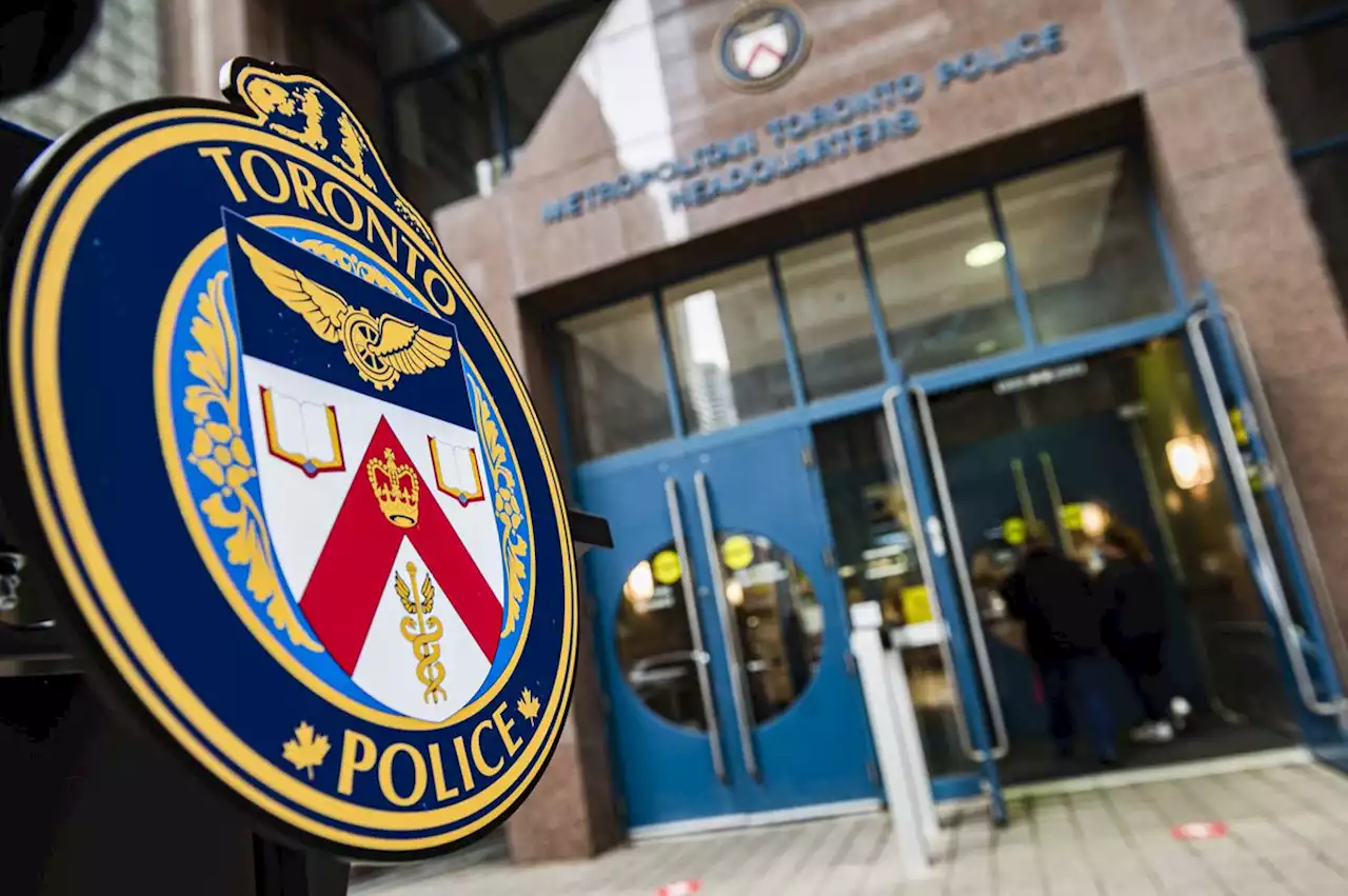 Man in custody after dog attacks, carjacking, attempted boat theft say Toronto police