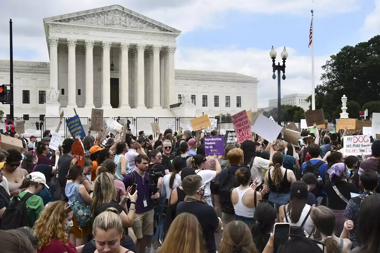 米「女性に出産強要するな」 各地で抗議デモ - トピックス｜Infoseekニュース