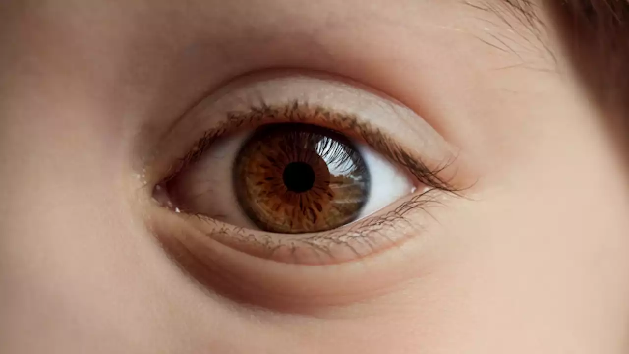 Retina recordings could be the key to identifying Autism and ADHD in children