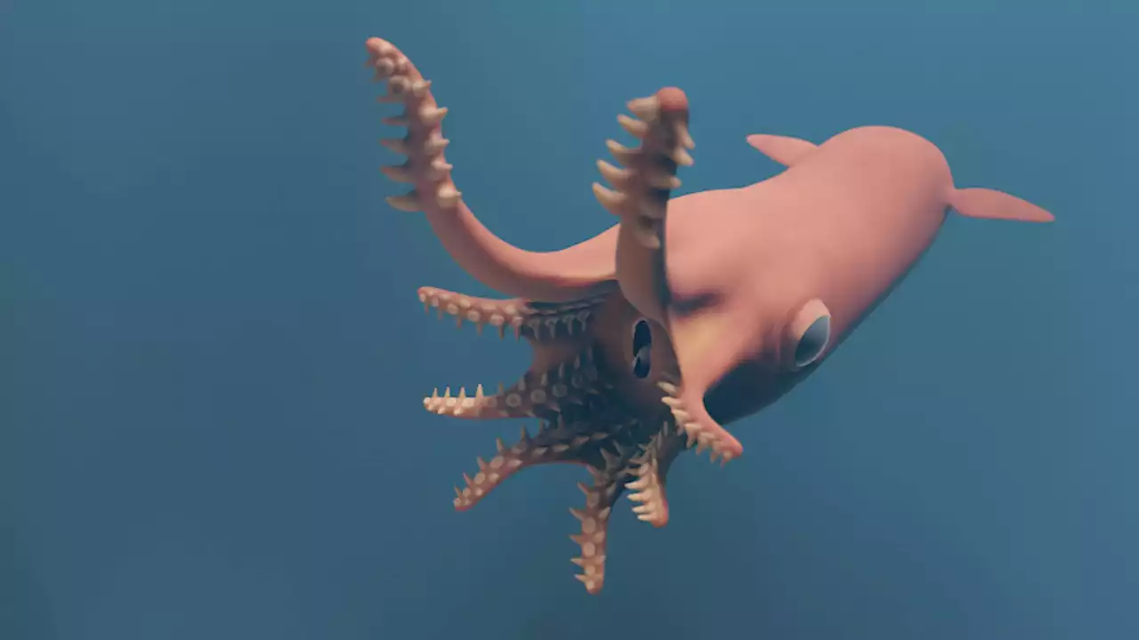 X-rays reveal the strange appendage this ancient vampire squid used to hunt