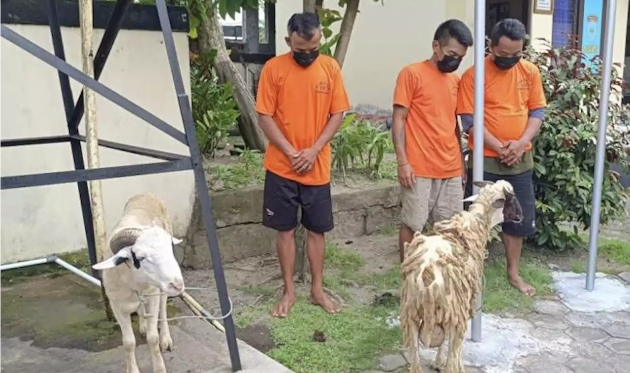 Ada-Ada Saja Tingkah Tiga Pria Ini, Kasusnya Memalukan