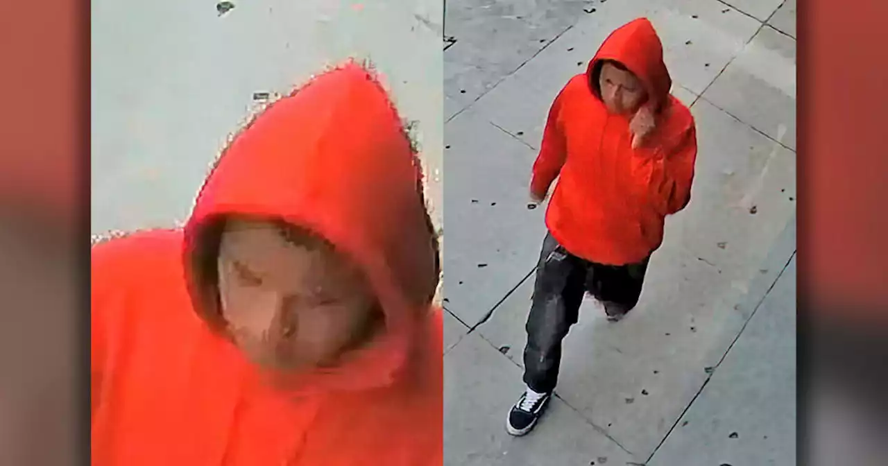 San Francisco police ask public for help locating sex-assault suspect