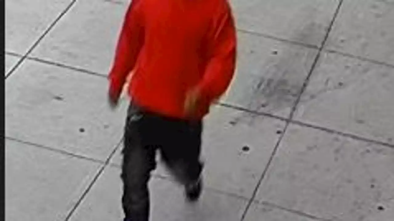 SFPD seeking sexual assault suspect