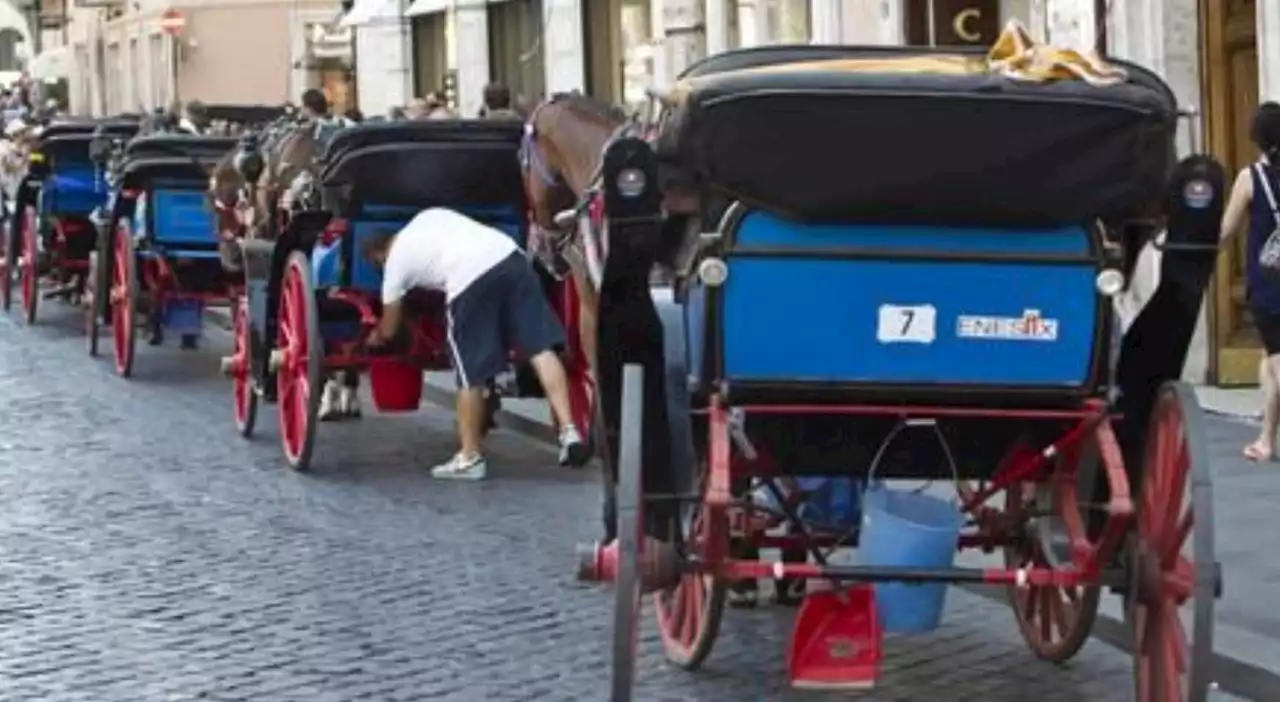 Roma, stop alle botticelle nelle ore più calde fino al 15 settembre