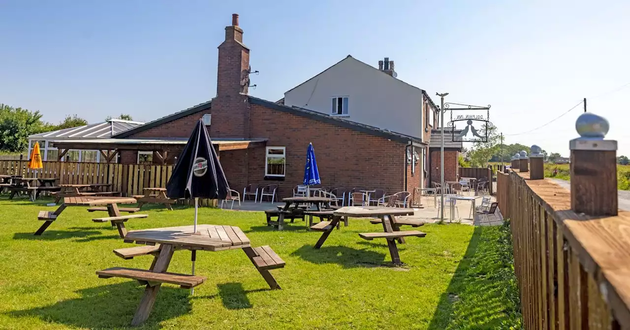 Peaceful riverside walk to dog that includes pitstop at pub beer garden