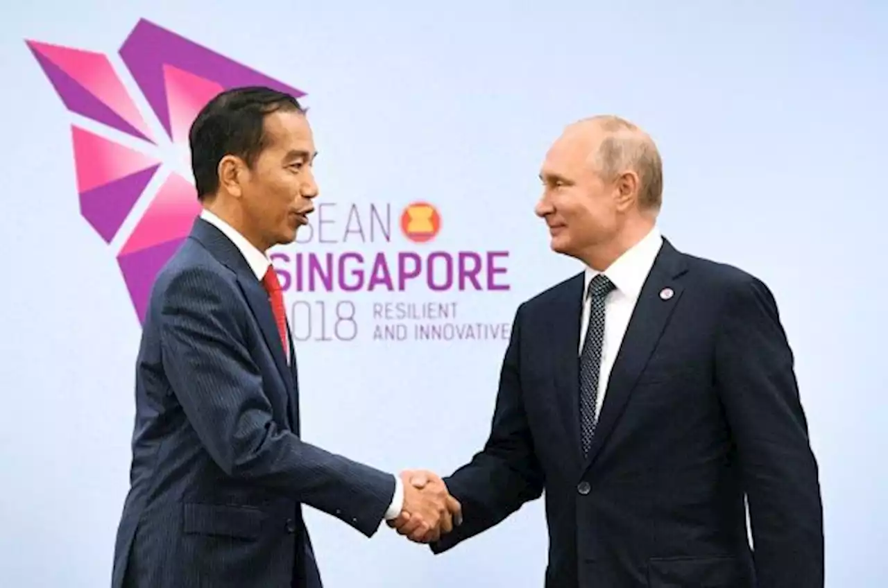 Presiden Jokowi akan Bertemu Zelensky dan Putin, HMI: Langkah Sangat Tepat