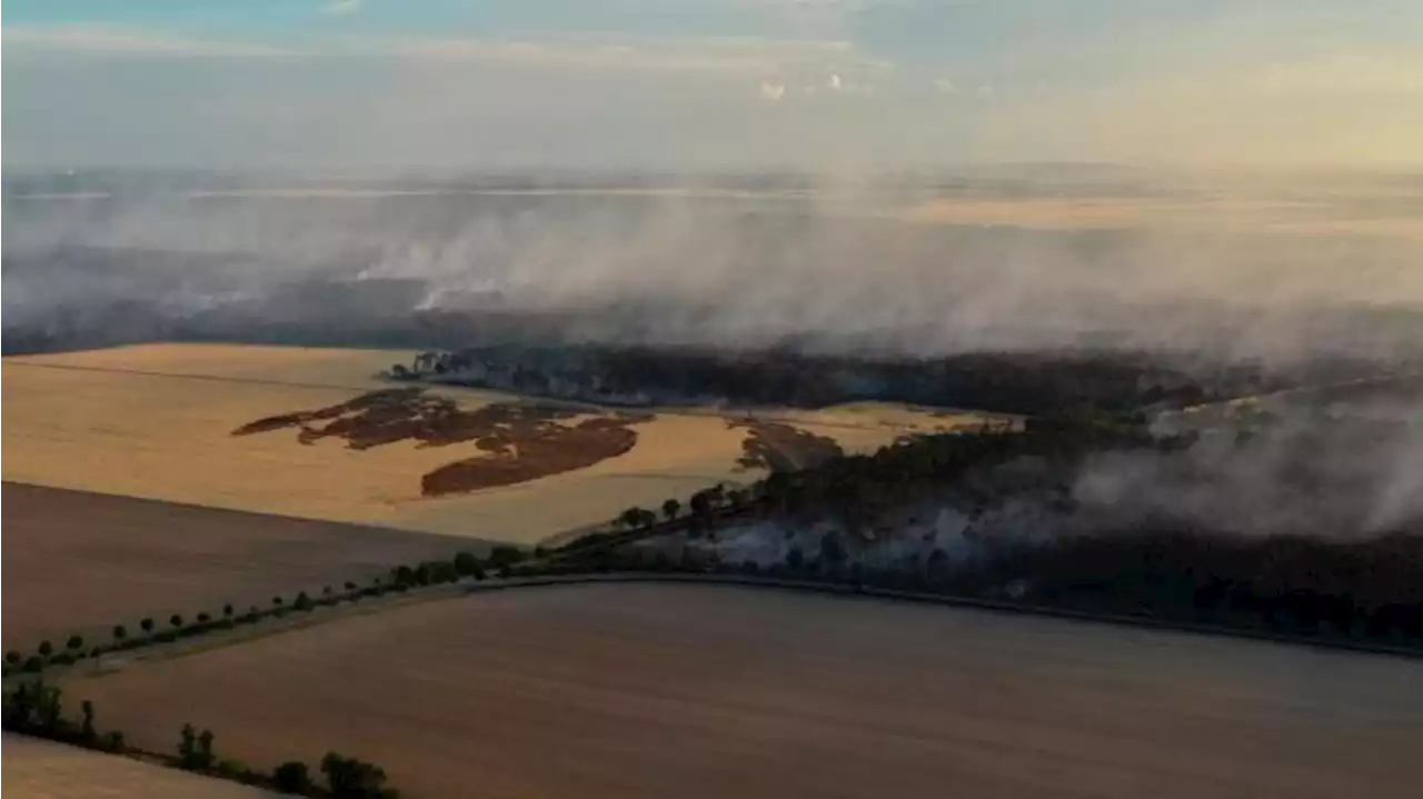 Waldbrand eingedämmt: 250 Feuerwehrleute im Einsatz