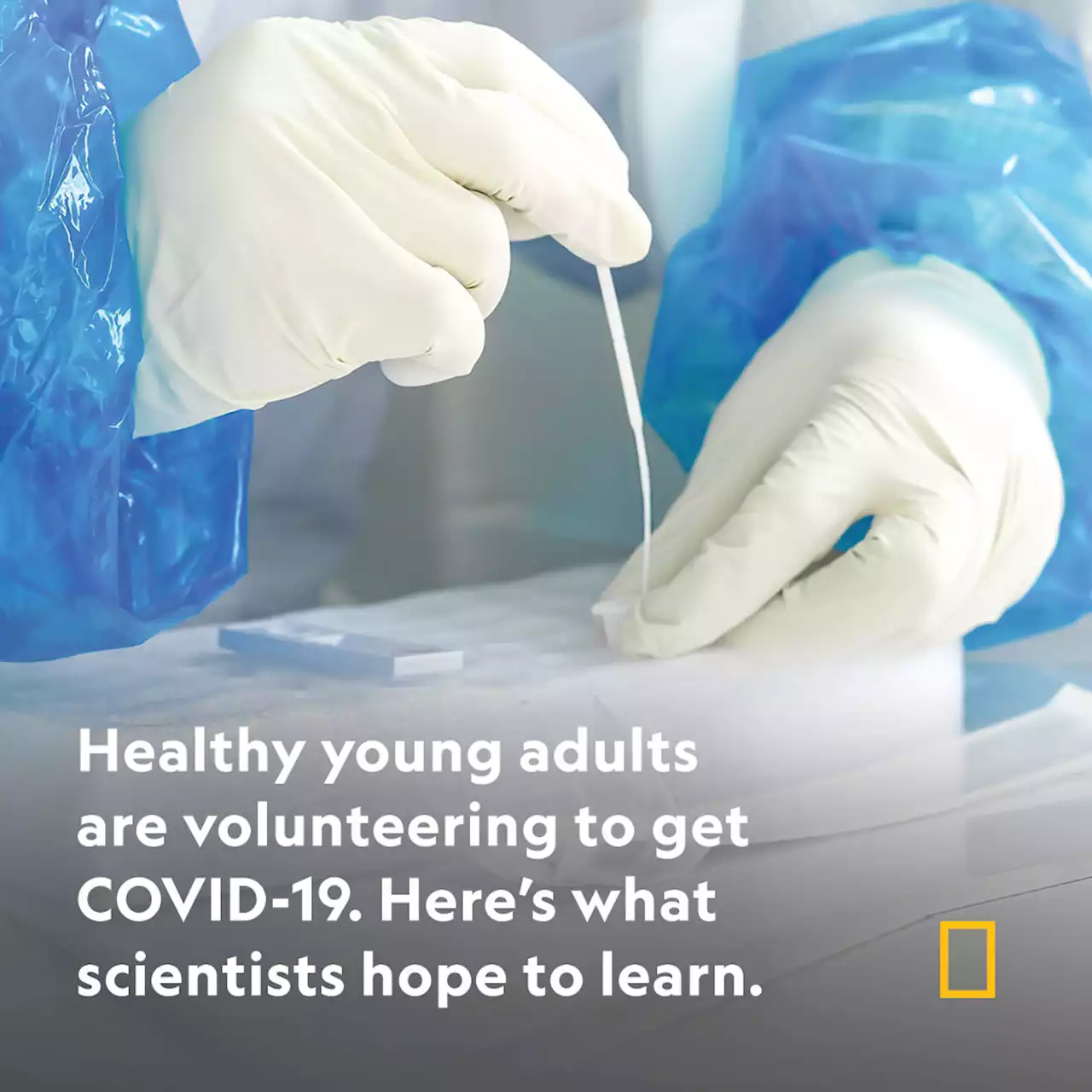 Young adults are volunteering to get COVID-19—for science