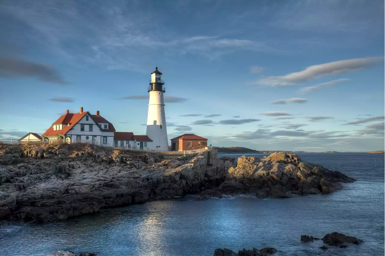 Dead and Dying Seabirds Identified Off Maine Coast