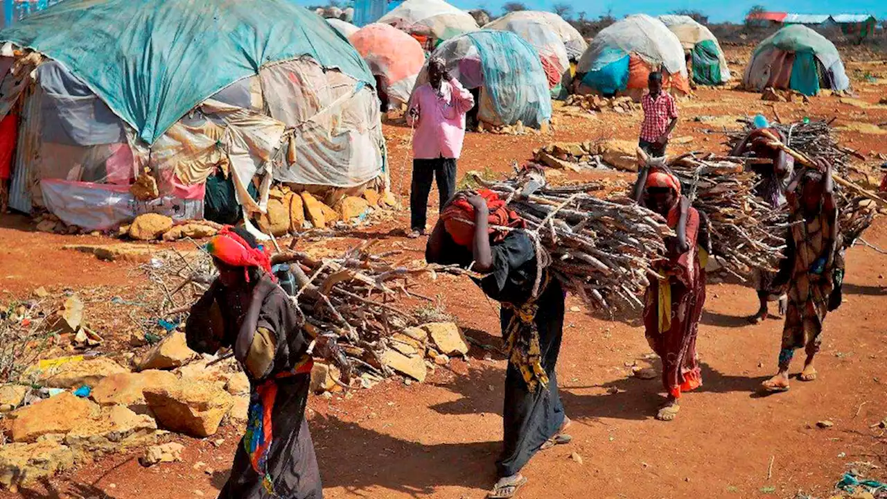 49 millones de personas en riesgo de hambruna por la guerra en Ucrania, la crisis climática y la pandemia | Advierten sobre posibles estallidos