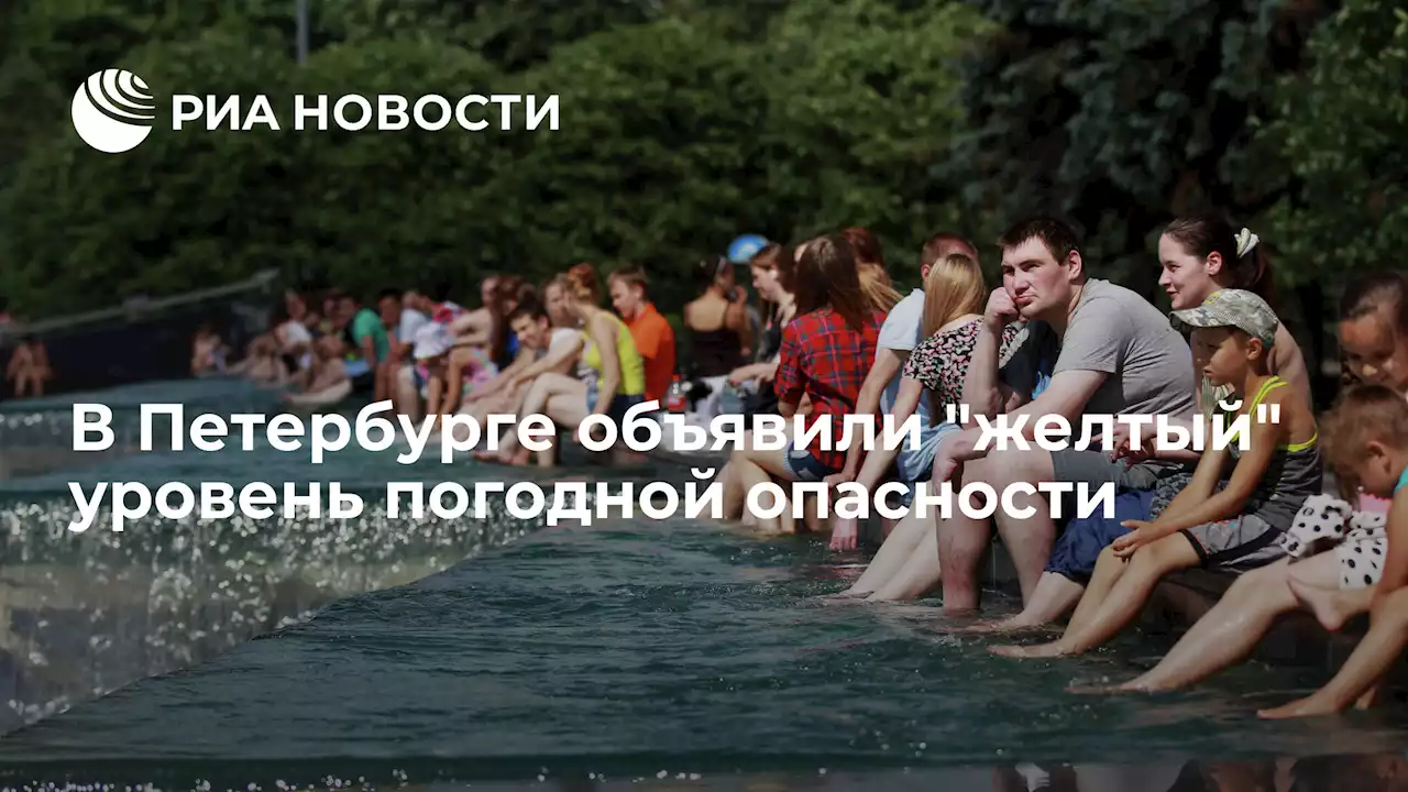 В Петербурге объявилижелтый уровень погодной опасности - РИА Новости, 25.06.2022
