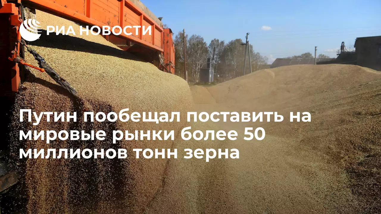 Путин пообещал поставить на мировые рынки более 50 миллионов тонн зерна