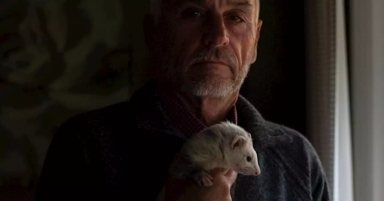 La Mesa man’s fight to end California’s ban on ferrets