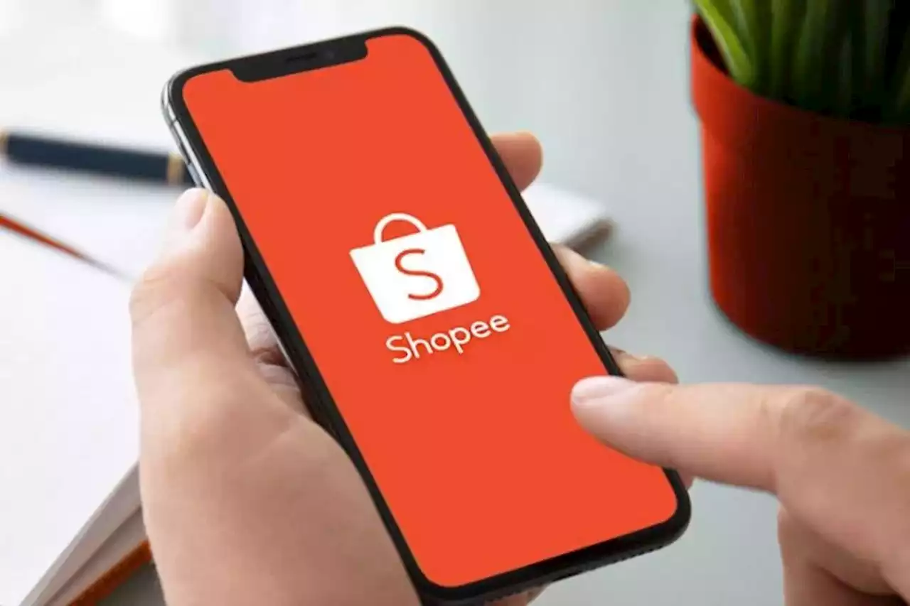 Novas lojas oficiais que chegaram na Shopee Brasil