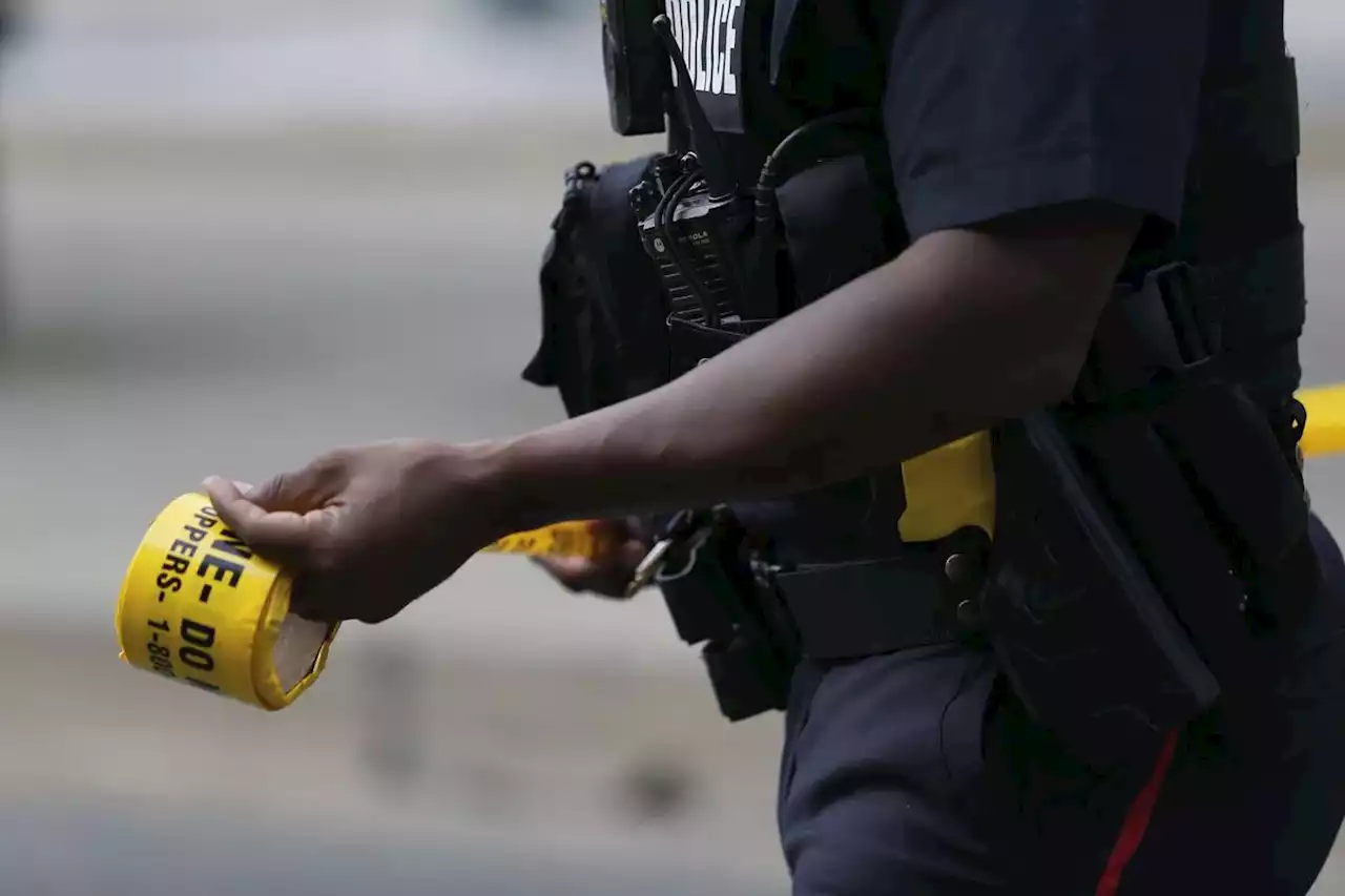 Toronto police arrest man after series of dog attacks, carjacking and attempted boat theft