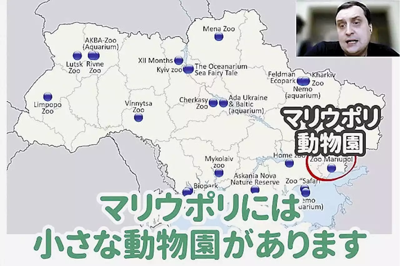 侵攻続くウクライナ、動物園や水族館にも危機…動画で現地の声伝え支援呼びかけ