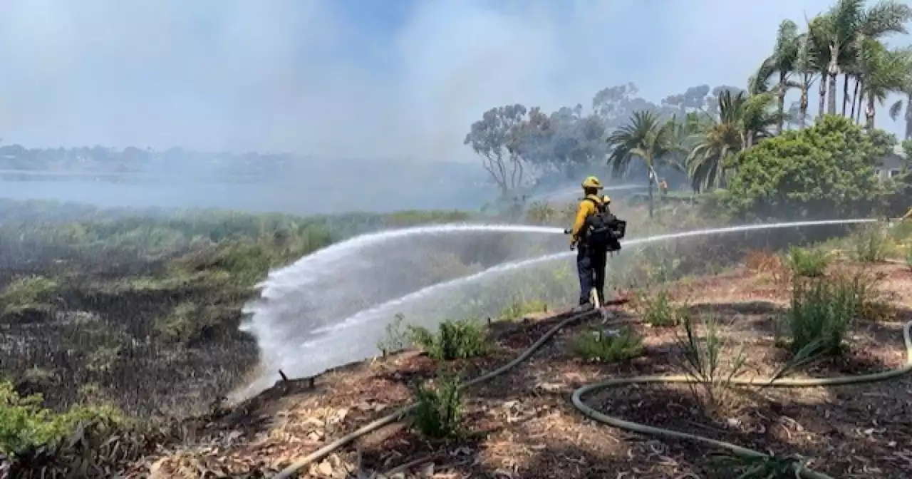 Fire contained near Buena Vista Lagoon in Carlsbad