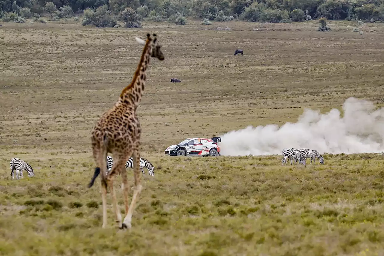 Rovanpera: Safari Rally win the &quot;hardest&quot; of my WRC career