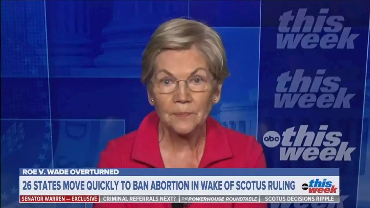 'This court has lost legitimacy': Warren calls for Supreme Court expansion