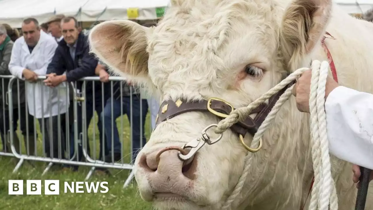 Covid: Derbyshire County Show set to return after pandemic break