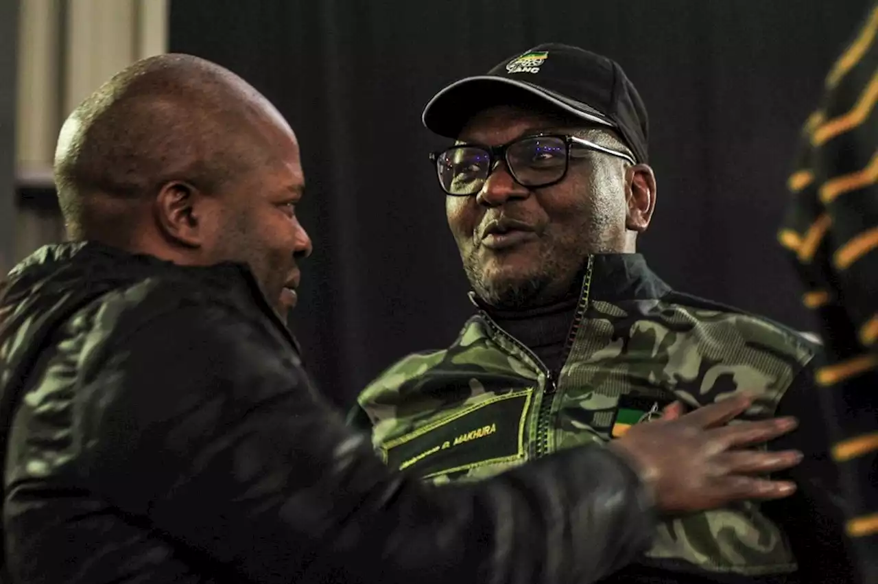 Delegate interdict application mars Gauteng ANC conference | Citypress