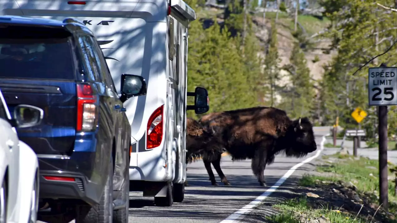 Yellowstone floods: Funding increased for disaster