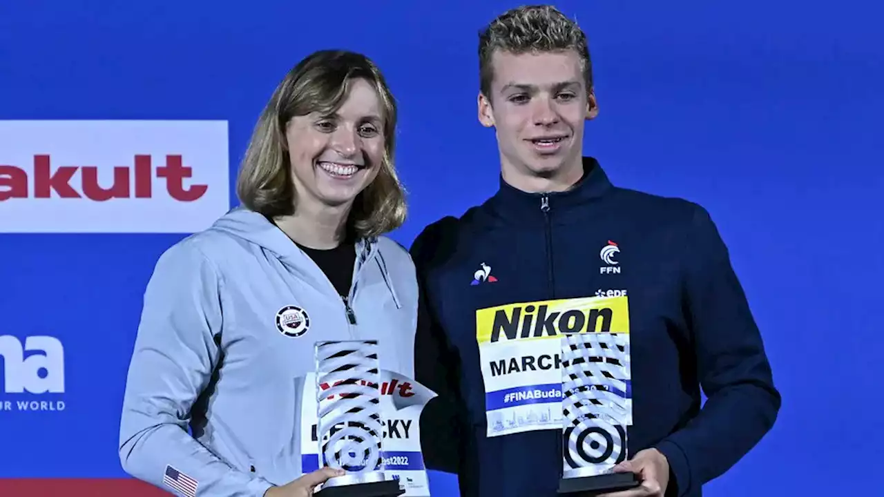 Mondiaux de natation 2022 : Léon Marchand et Katie Ledecky désignés meilleurs nageurs de la compétition