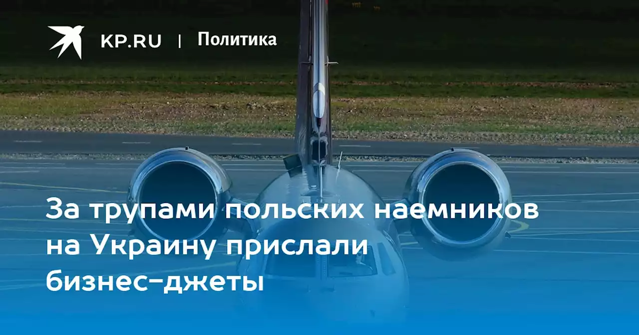 За трупами польских наемников на Украину прислали бизнес-джеты