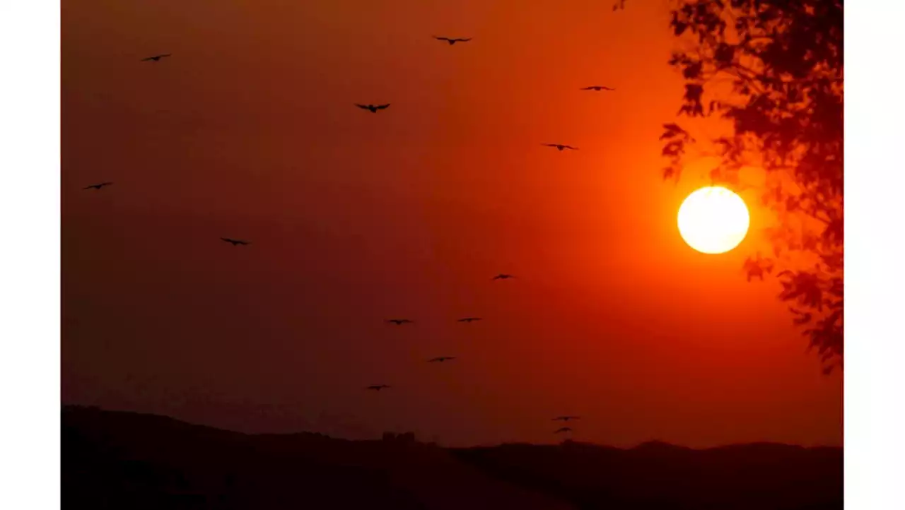 Heat spike coming for Southern California