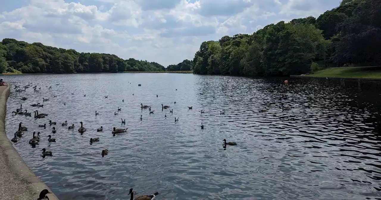 The 'perfect' Leeds park where people return day after day to relax