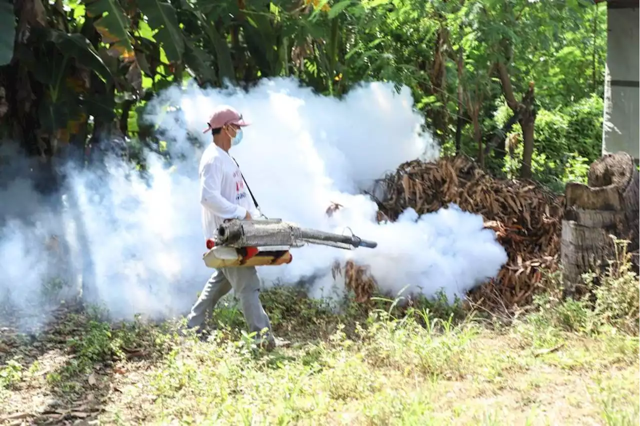 Isabela in massive clean-up drive campaign against dengue