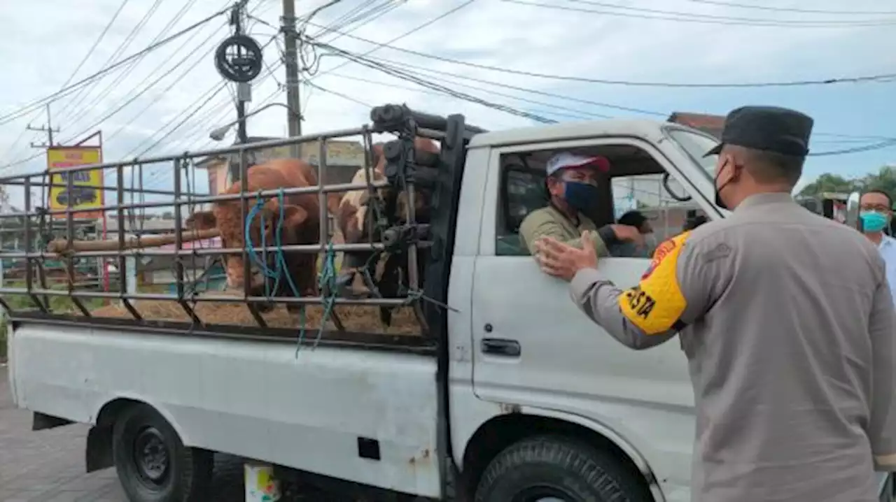 Jateng Tunggu Tambahan Vaksin PMK