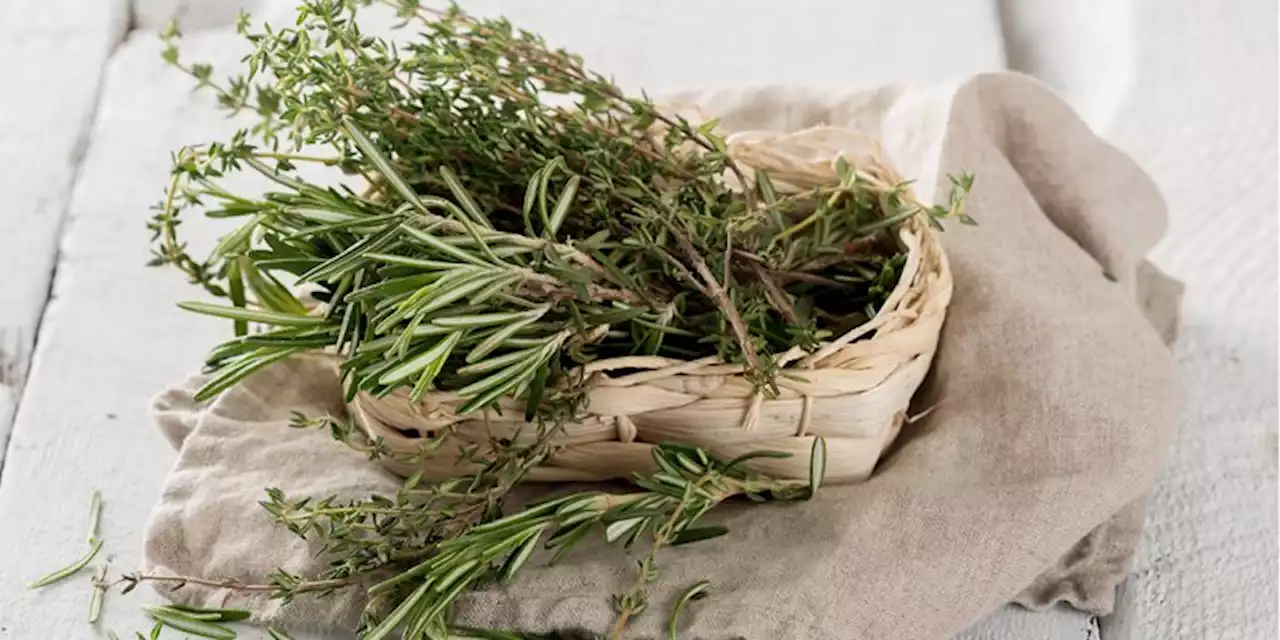 A Science Journalist On Why Rosemary Is A+ For Brain Health