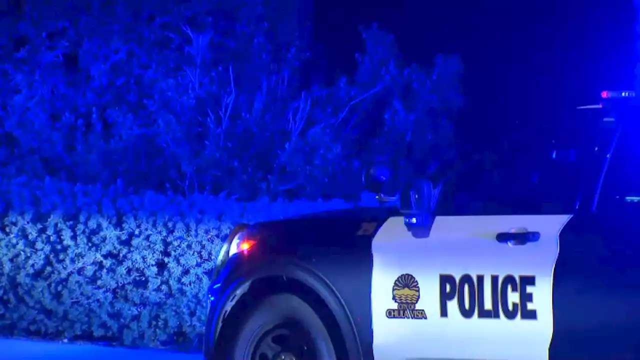 Driver Killed After Car Crashes Into Tree, Combusts in Chula Vista