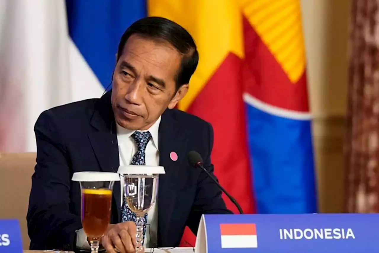 Tak Peduli Situasi Konflik yang Rumit, Jokowi Pilih Bawa Misi Perdamaian Temui Vladimir Putin dan Zelensky - Pikiran-Rakyat.com