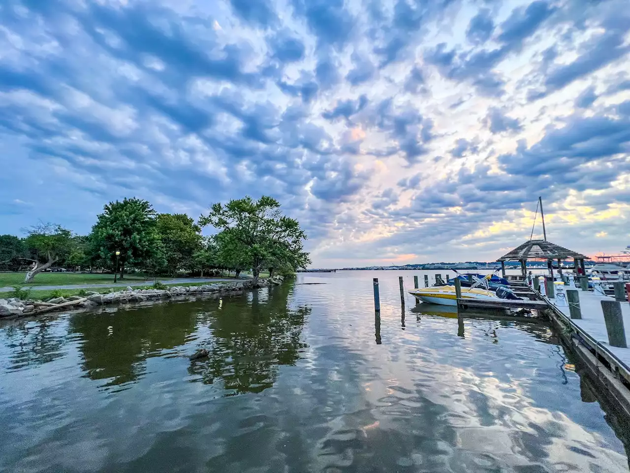 D.C.-area forecast: Summertime heat today, some showers tomorrow