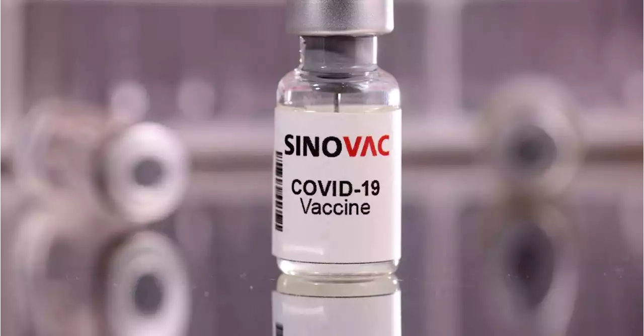 Sinovac's COVID-19 vaccine conditionally registered in South Africa